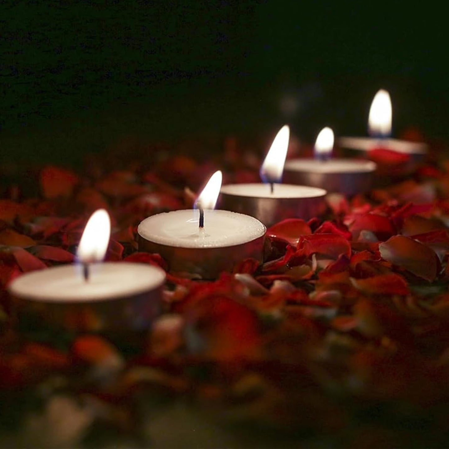 Verixpress Solimo Wax Tealight Candles (Set of 100, Unscented)