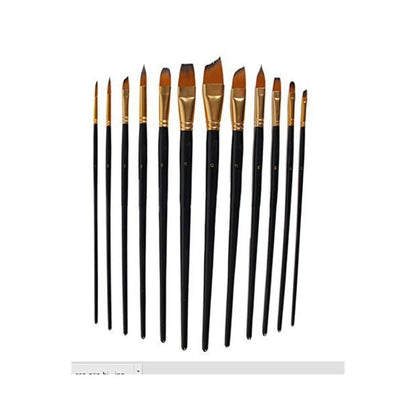 Set of 12 Professional & Exclusive Fine Art Long Handled Premium Paint Brush Set