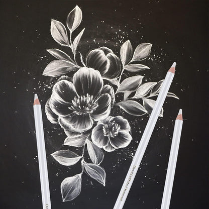 Qatalitic Set of 3 White Charcoal Pencil Premium Pencil for Sketching, Drawing, Shading, Blending, and other Artistic Work